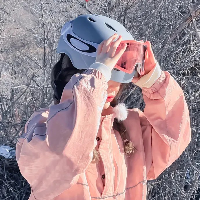 皮层